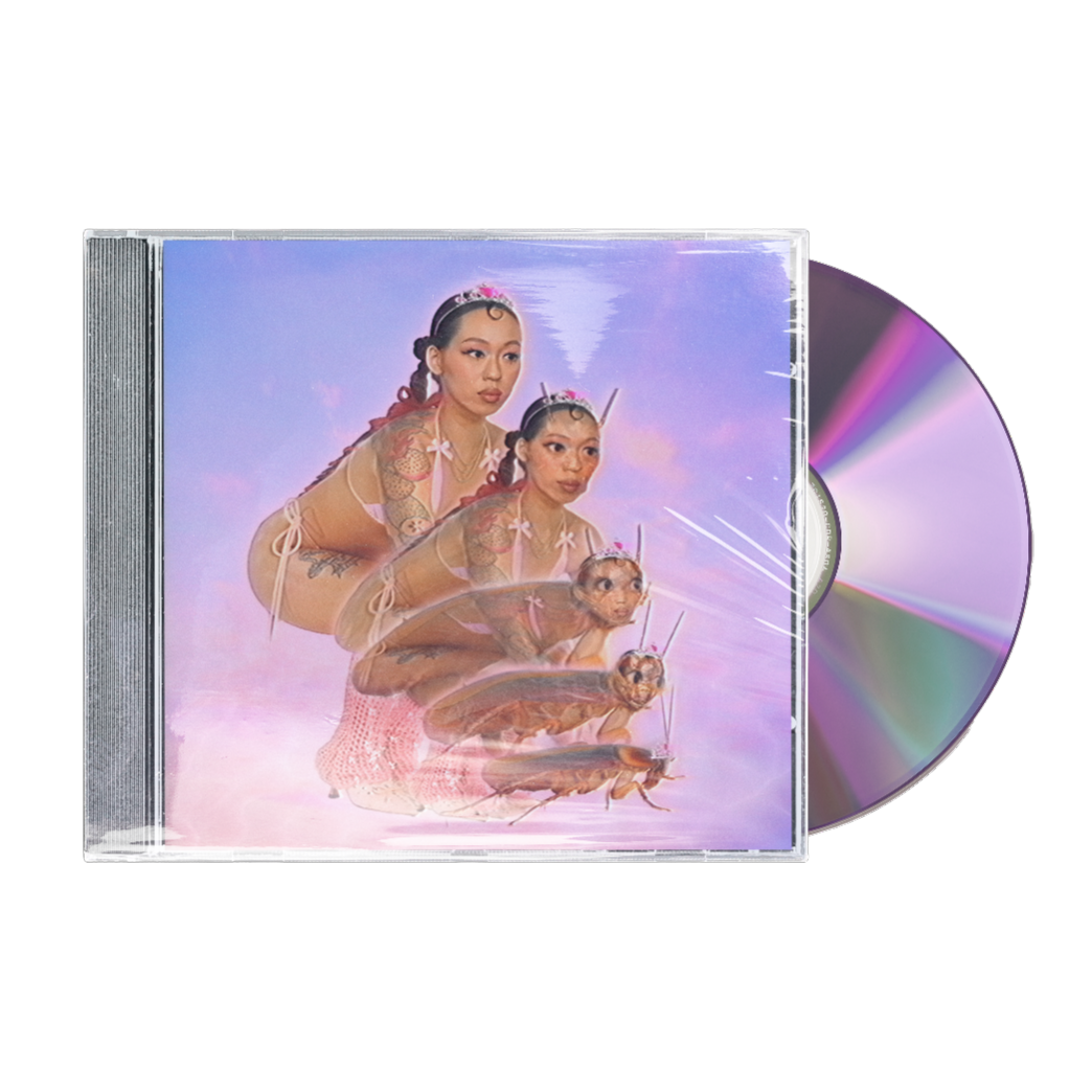 cd case w plastic and cd