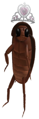 cockroach image