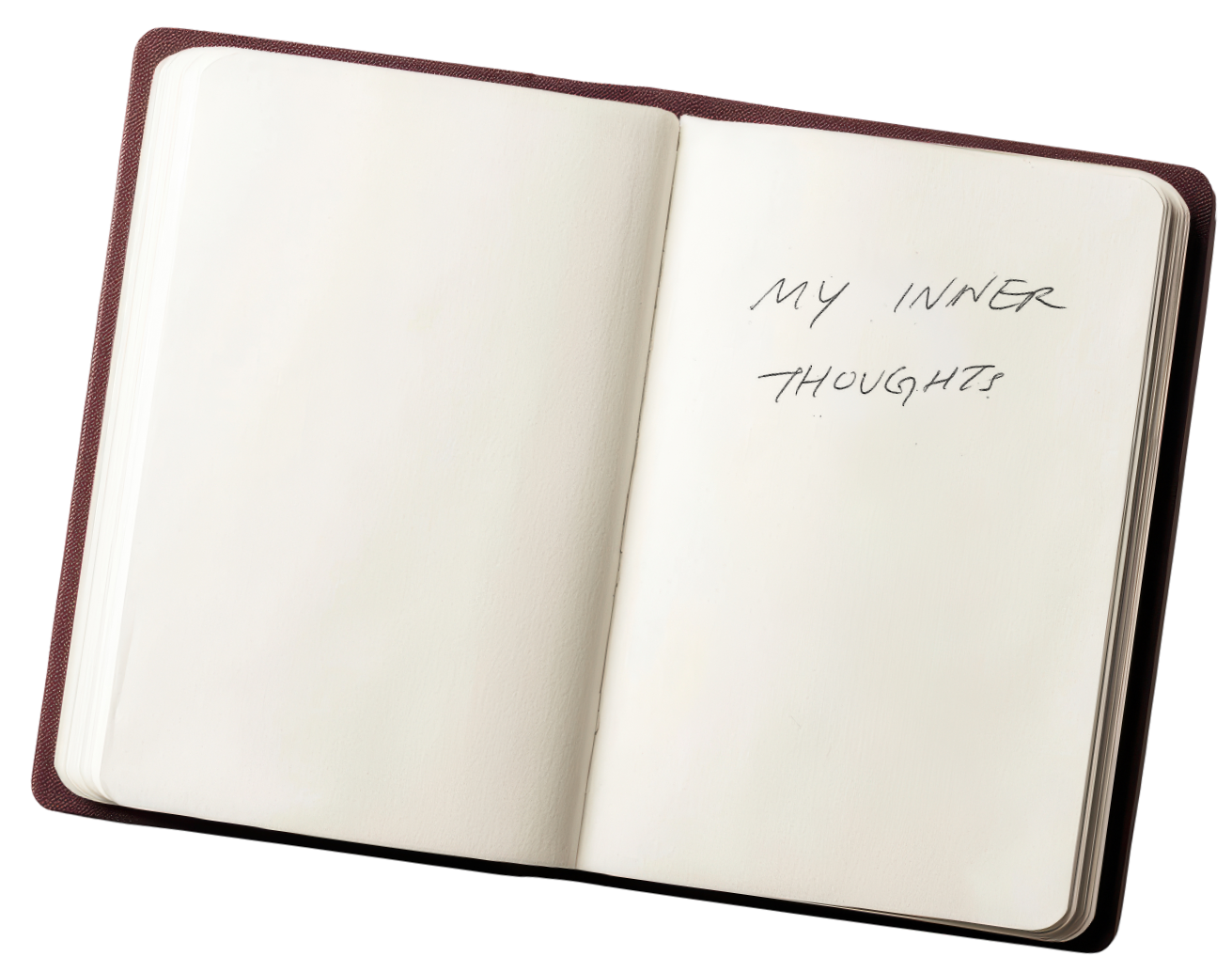 Journal image